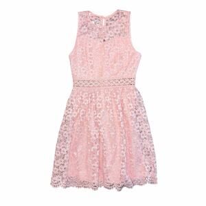 Altar’d State Lace Dress Pink Size Small
